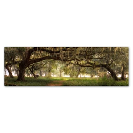 Doug Cavanah 'Southern Charm' Canvas Art,6x19